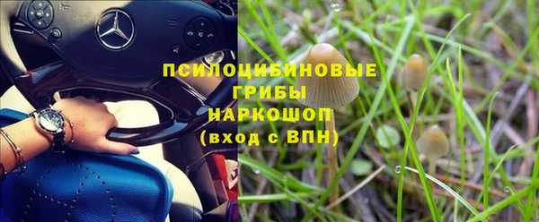 прущая мука Абдулино