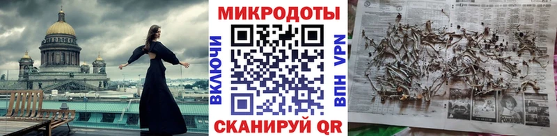 МЕГА ССЫЛКА Подпорожье Псилоцибиновые грибы Psilocybe